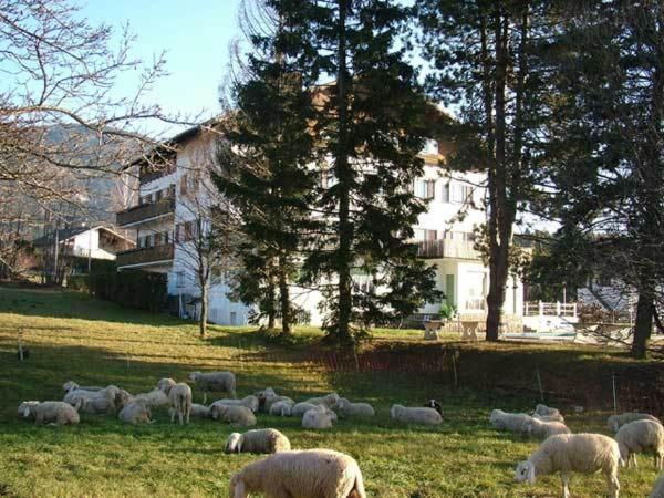 Hotel Due Pini Baselga di Pine Luaran gambar